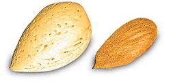 almond