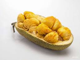 cempedak