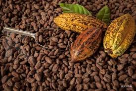 cokelat